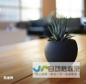 凯速网