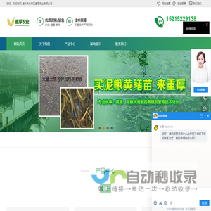 重庆泥鳅苗,重庆泥鳅养殖技术,重庆黄鳝苗,重厚农业